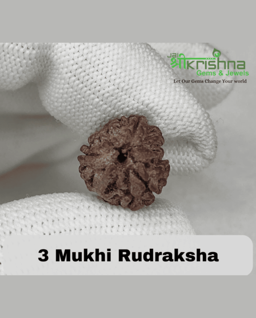 3 Mukhi Natural Rudraksha